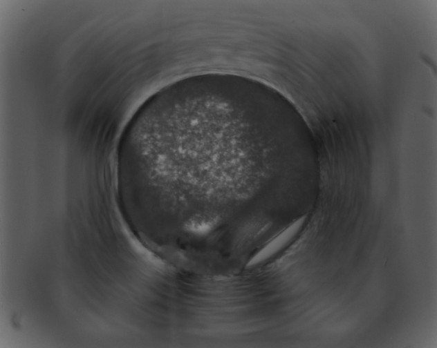 X0000093121515200710171234