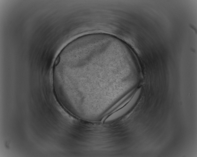 X0000093121516200710171234