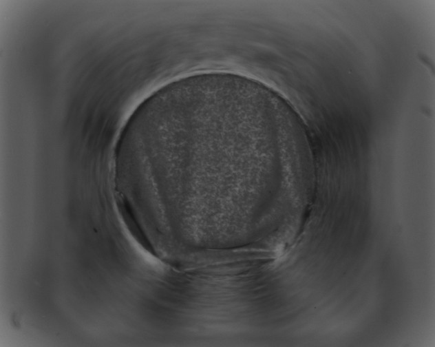 X0000093121519200710171234