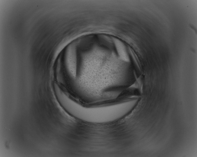 X0000093121520200710171234