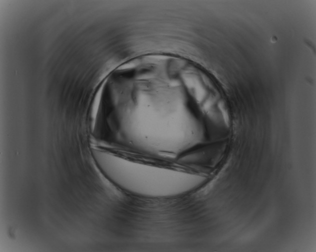 X0000093121521200710171234