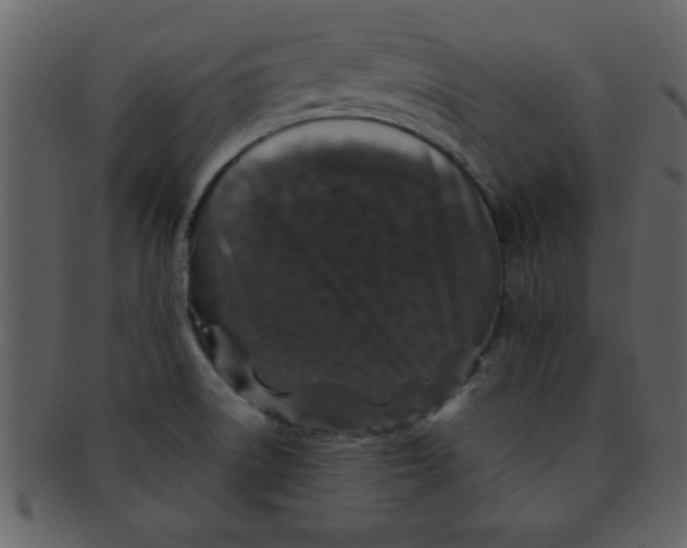 X0000093121522200710171234