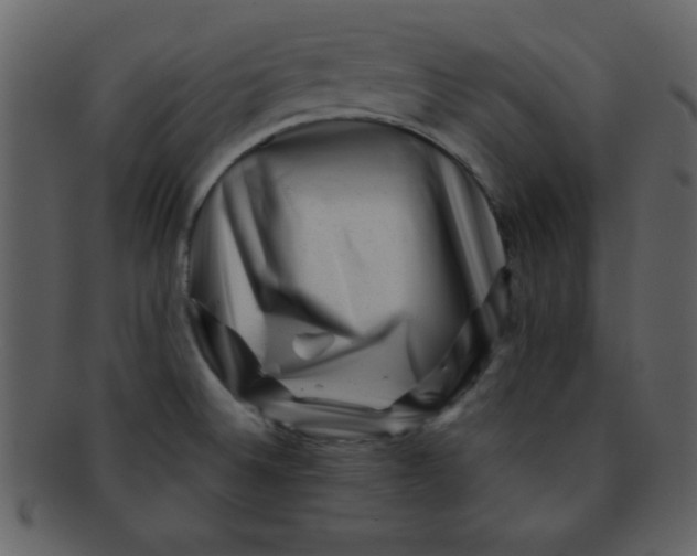 X0000093121524200710171234