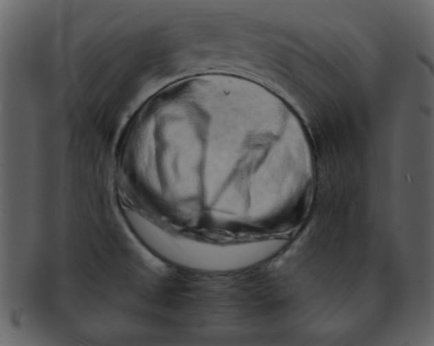 X0000093121525200710171234