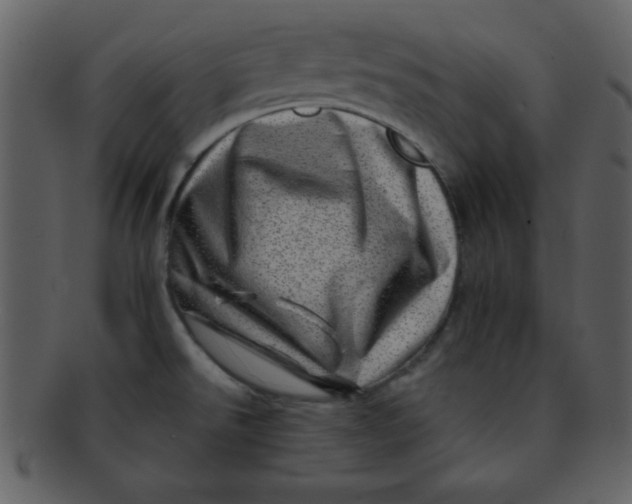 X0000093121526200710171234