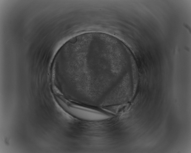 X0000093121527200710171234