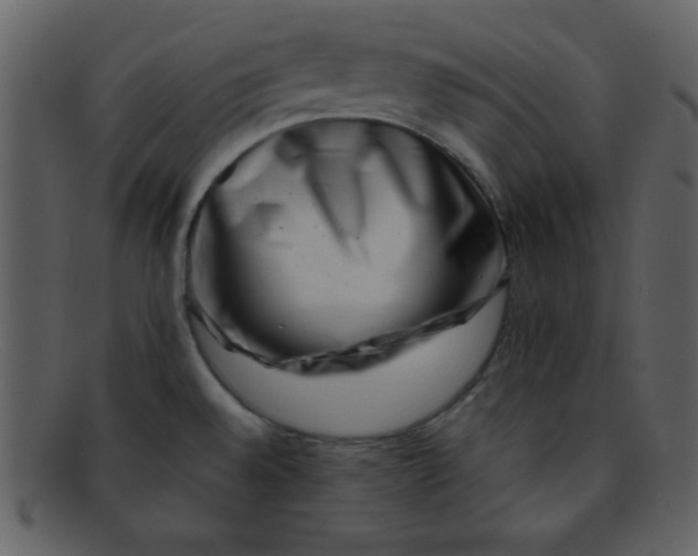 X0000093121528200710171234