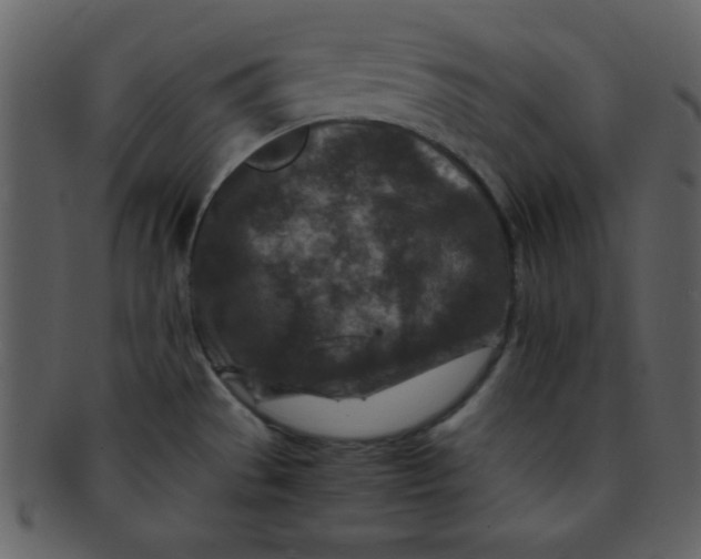 X0000093121529200710171234