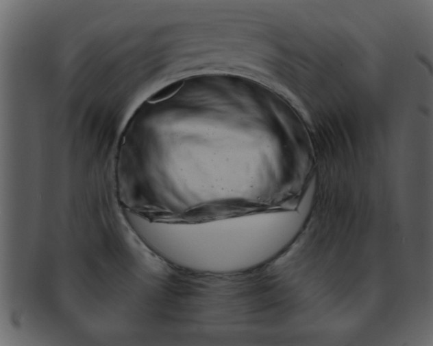 X0000093121530200710171234