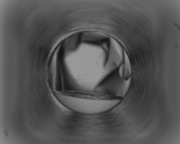 X0000093121531200710171234