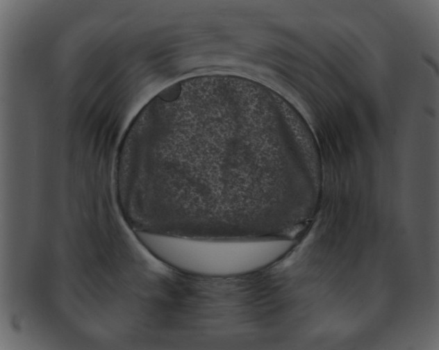 X0000093121533200710171234