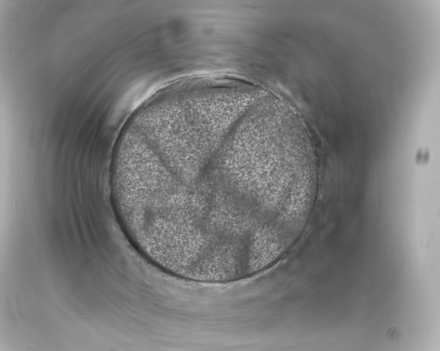 X0000093120002200710241312