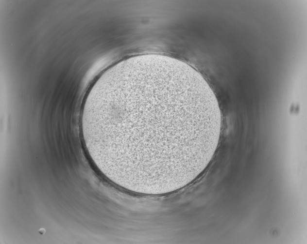 X0000093120004200710241312