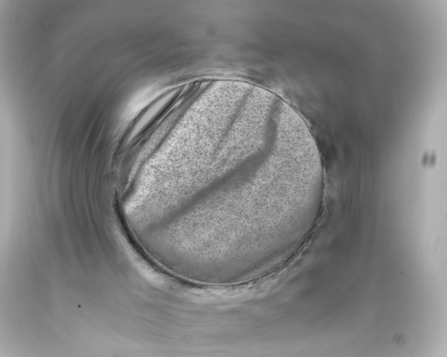 X0000093120005200710241312