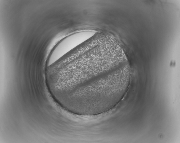 X0000093120006200710241312