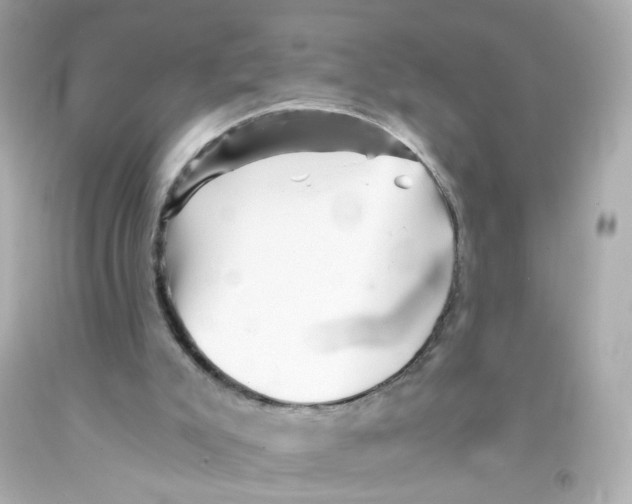 X0000093120007200710241312