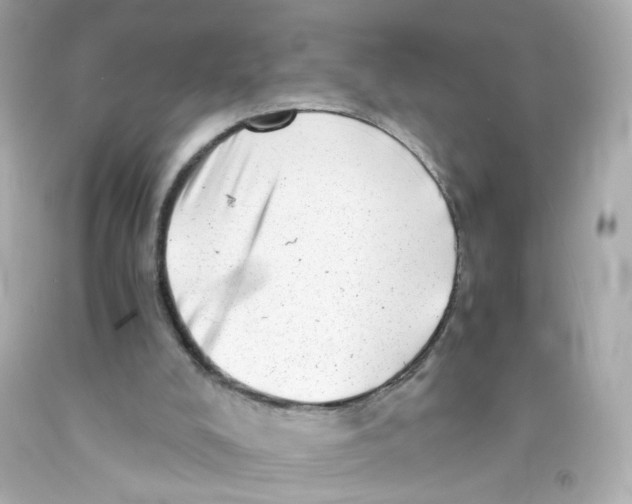 X0000093120008200710241312