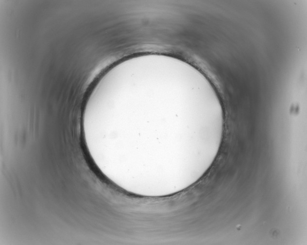 X0000093120011200710241312