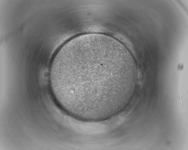 X0000093120012200710241312