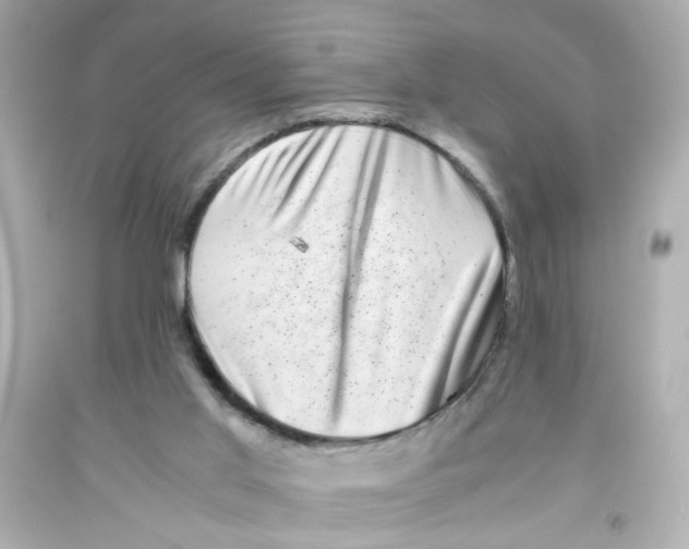 X0000093120013200710241312
