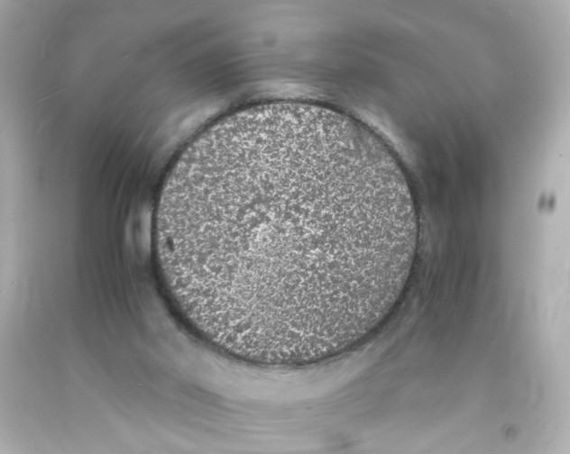X0000093120014200710241312
