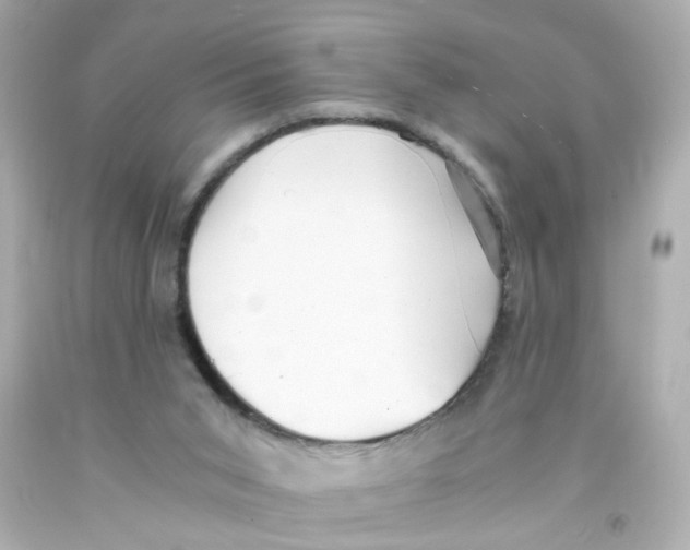 X0000093120015200710241312