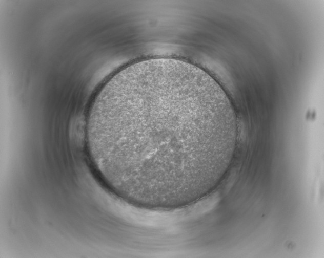 X0000093120016200710241312