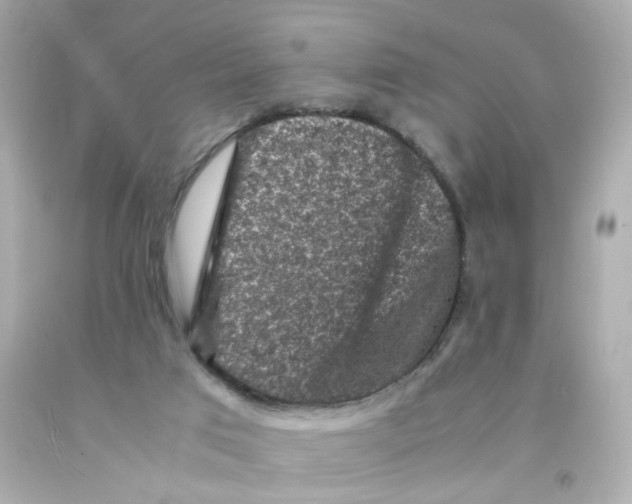 X0000093120017200710241312