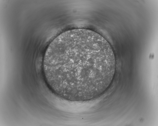X0000093120018200710241312