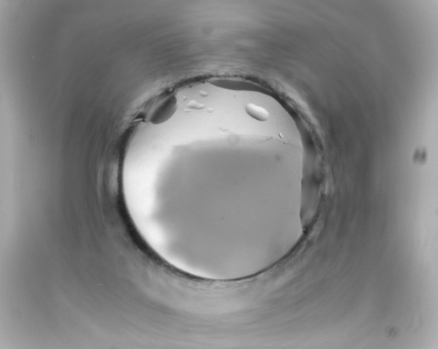 X0000093120019200710241312