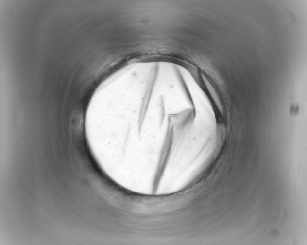 X0000093120021200710241312