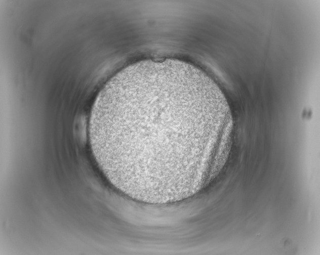 X0000093120022200710241312