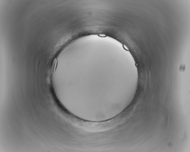 X0000093120023200710241312