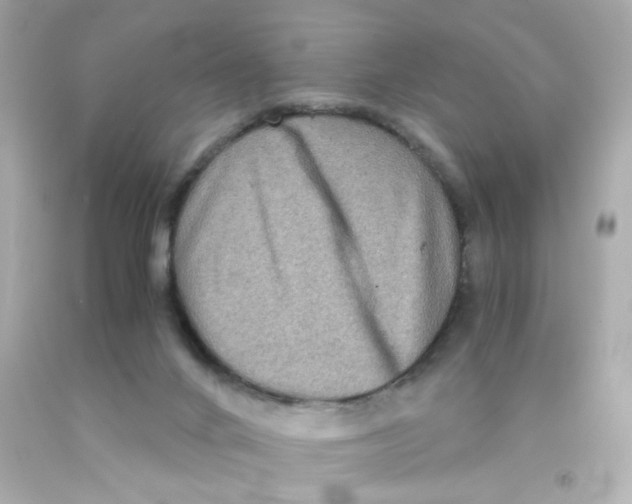 X0000093120024200710241312