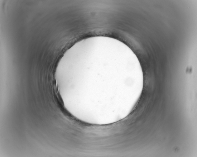 X0000093120025200710241312