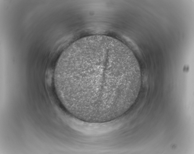 X0000093120026200710241312