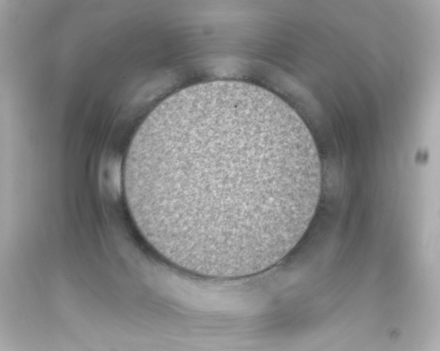 X0000093120028200710241312