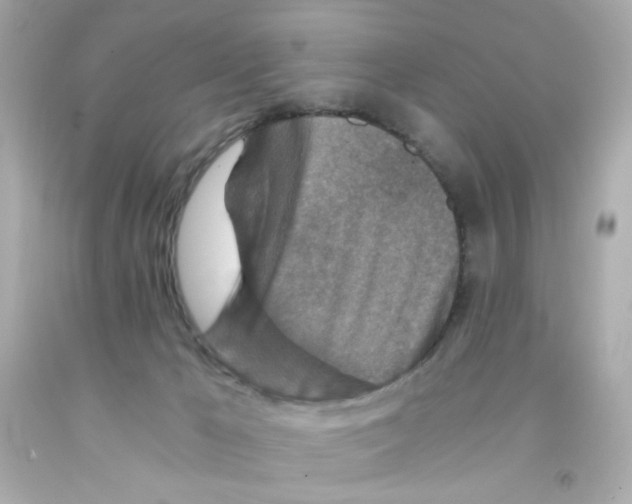 X0000093120029200710241312
