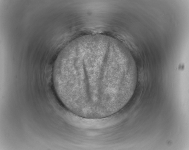 X0000093120030200710241312