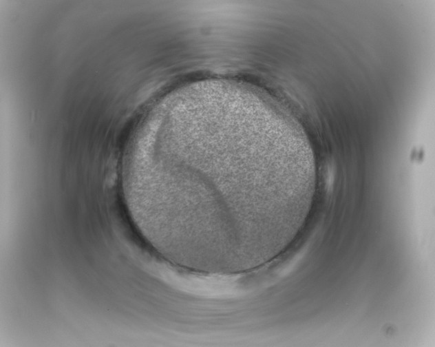 X0000093120032200710241312