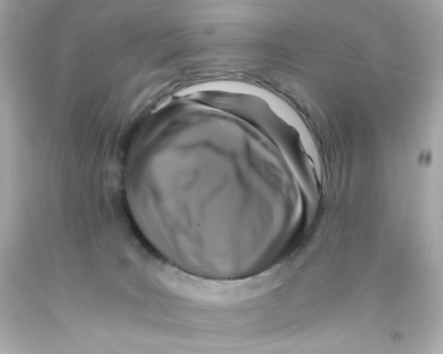 X0000093120035200710241312