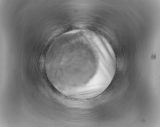 X0000093120036200710241312
