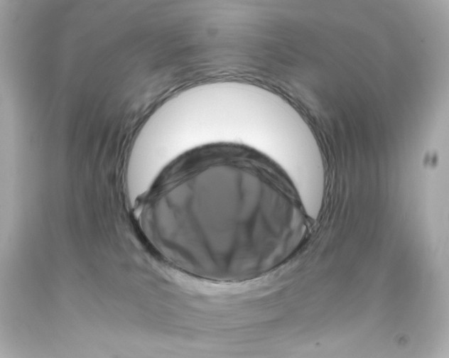 X0000093120039200710241312