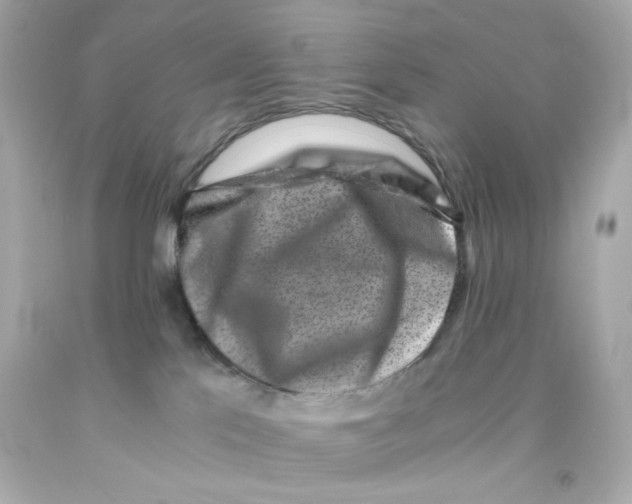 X0000093120041200710241312