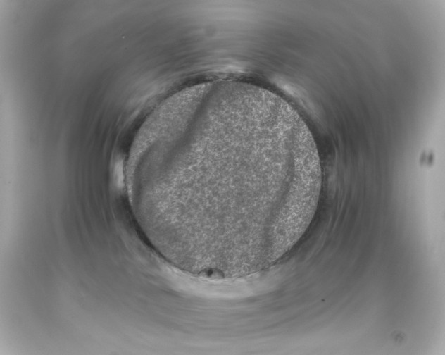 X0000093120042200710241312
