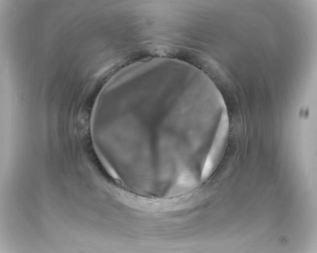 X0000093120043200710241312
