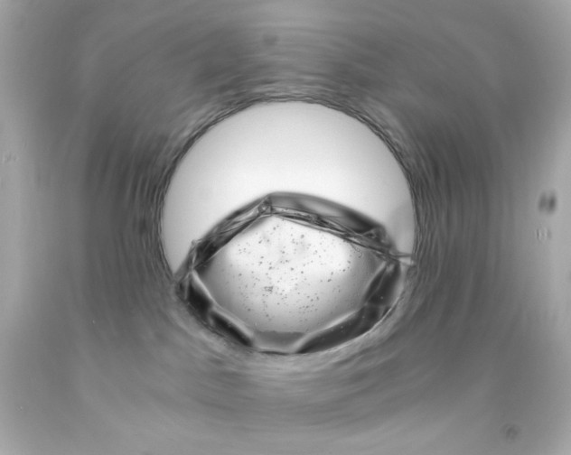 X0000093120045200710241312