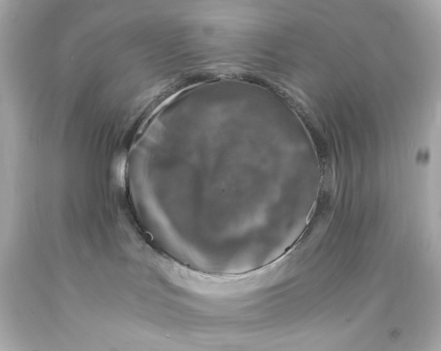 X0000093120047200710241312