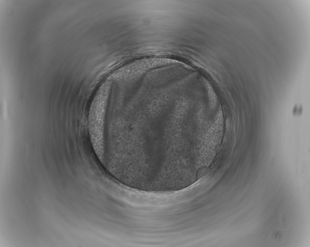 X0000093120048200710241312