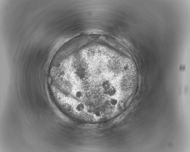 X0000093120049200710241311